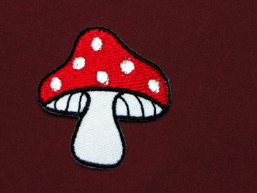 Fliegenpilz